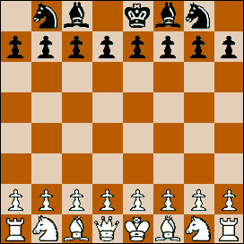 Spielen im Netz - Die Lust am Online-Schach